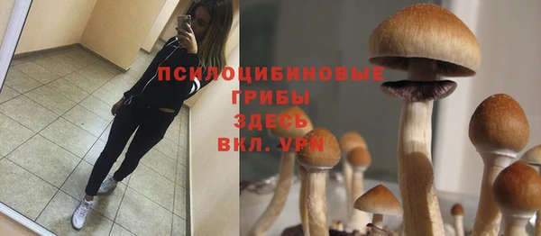 гашик Арсеньев