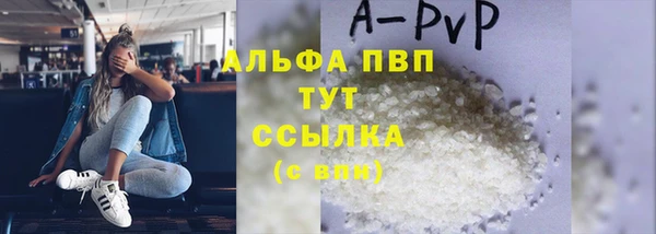 гашик Арсеньев