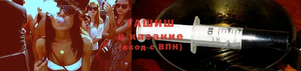 гашик Арсеньев