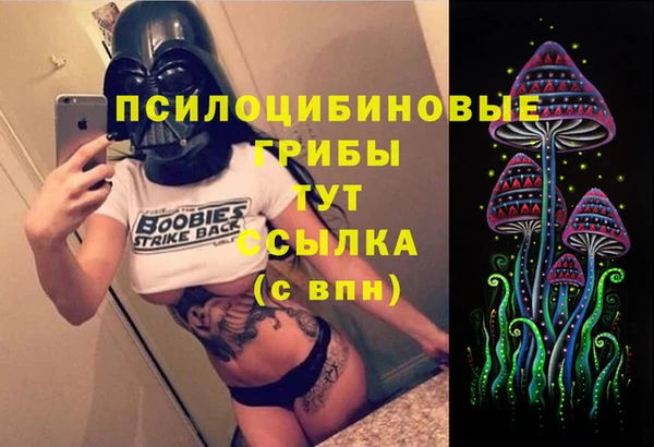 гашик Арсеньев