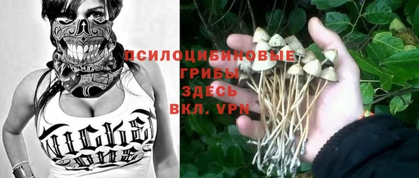 гашик Арсеньев