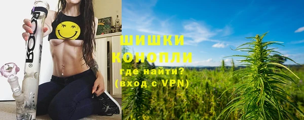 гашик Арсеньев