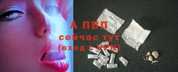 гашик Арсеньев