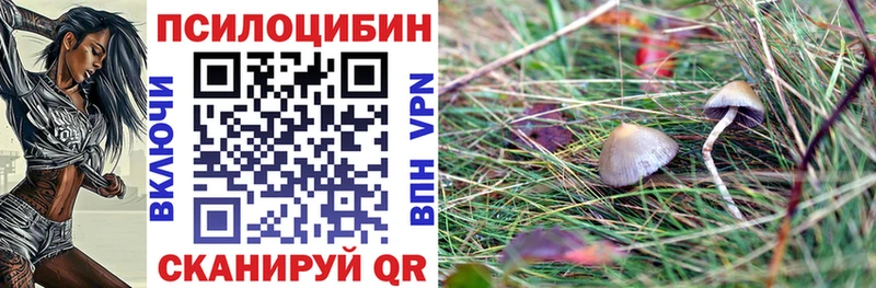 хочу наркоту  Юрьев-Польский  кракен ССЫЛКА  Псилоцибиновые грибы Psilocybe 